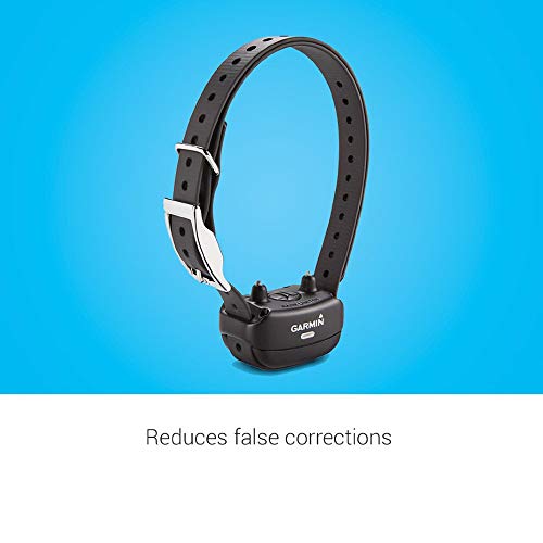 Rechargeable Dog Training Collar F6703