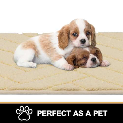 Light Taupe 20"x48" Non-Slip Washable Dog Mat Q710059
