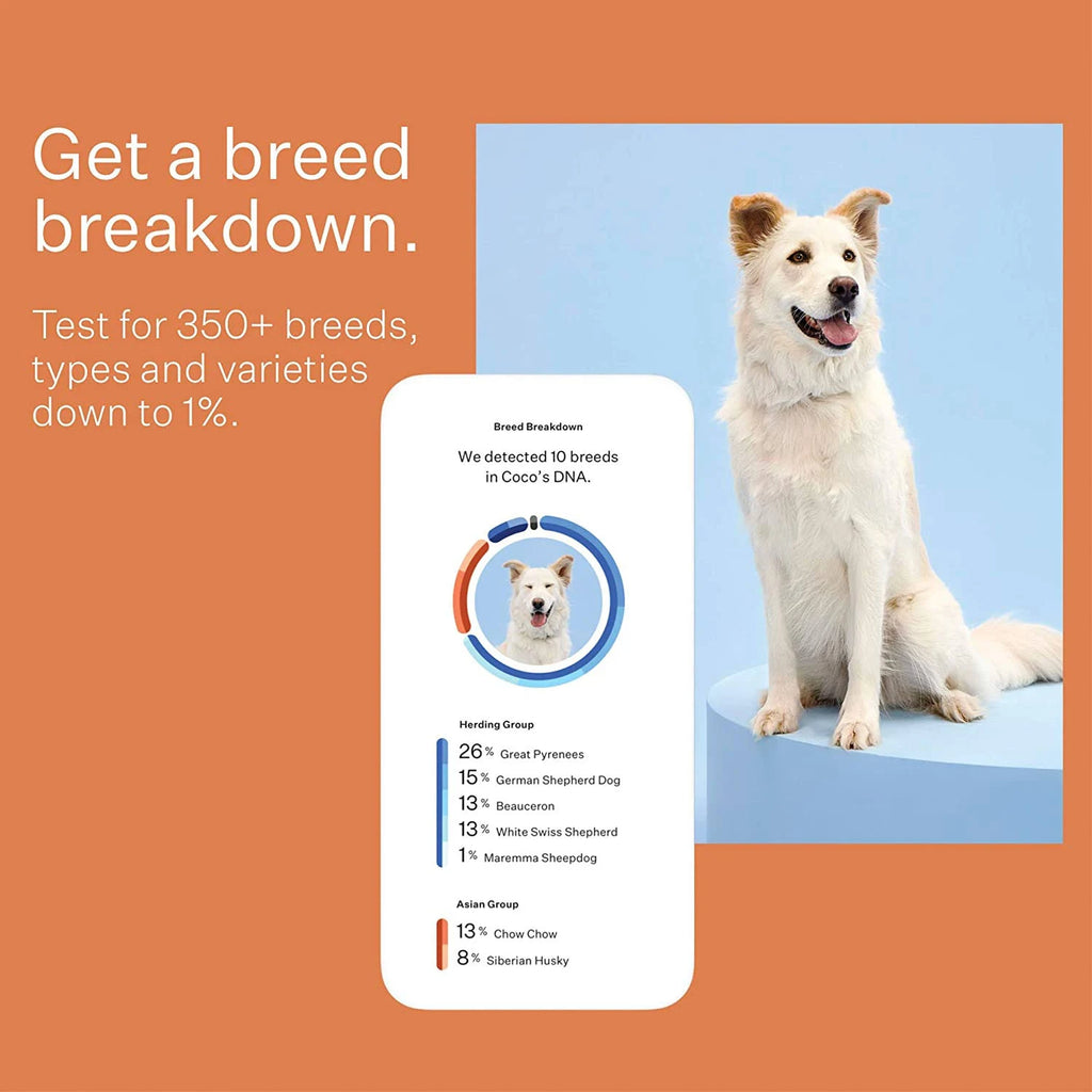 Dog Breed Identification DNA Test Kit A6818