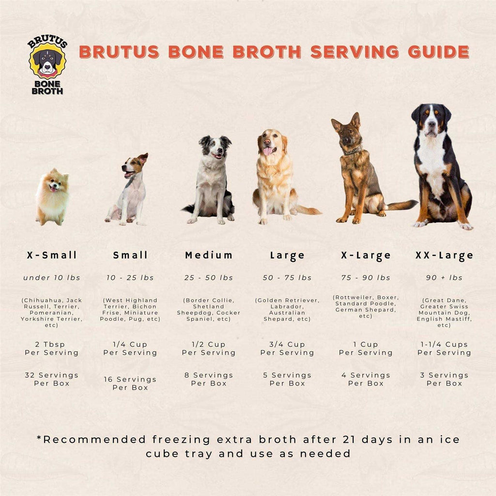 Chicken Bone Broth for Dogs H723182