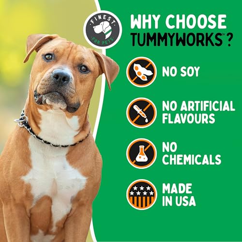 Probiotic 120 Soft Chews for Dogs P6330