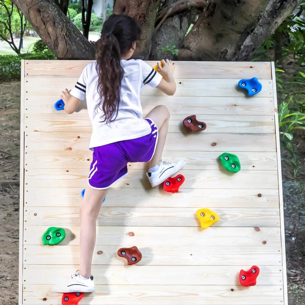 Rock Wall Climbing Holds Kit with Mounting Hardware D280095