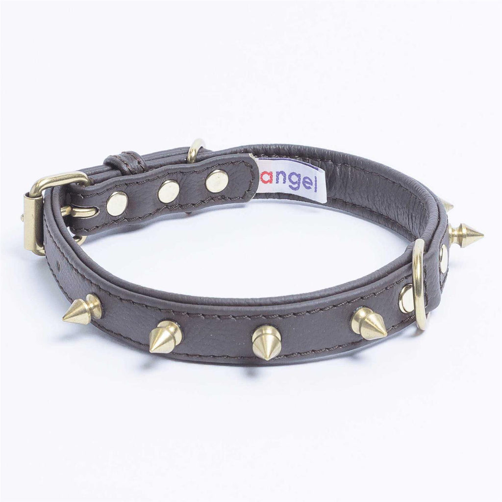 Dog Collar D441