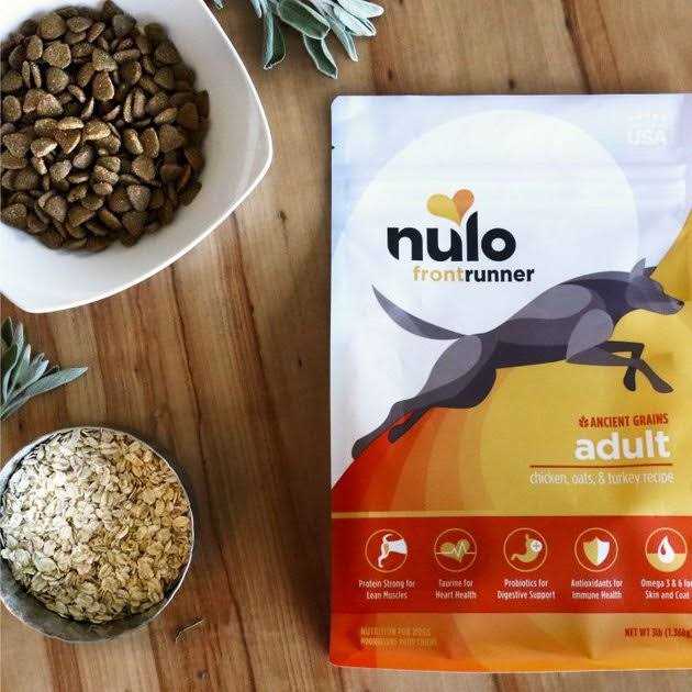 Turkey Dry Dog Food Y37080