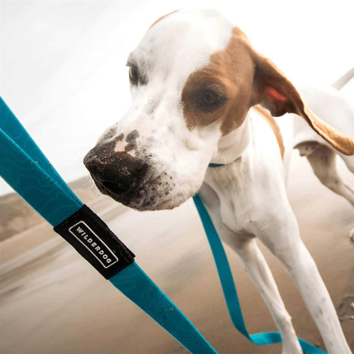 Waterproof Leash K5753