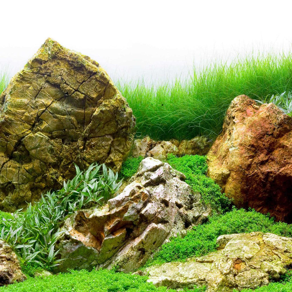 River Rock & Green Aquarium Background Decor F659