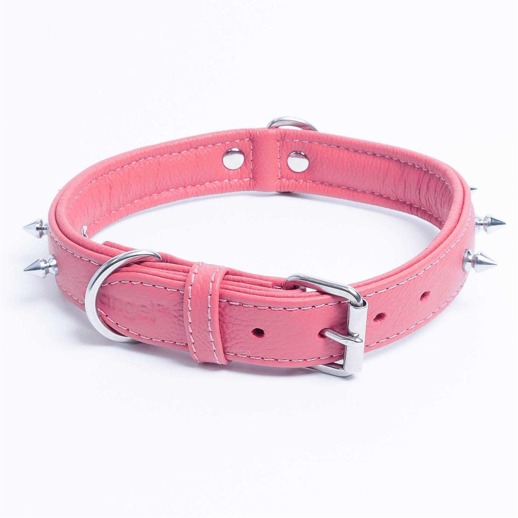 Dog Collar D441