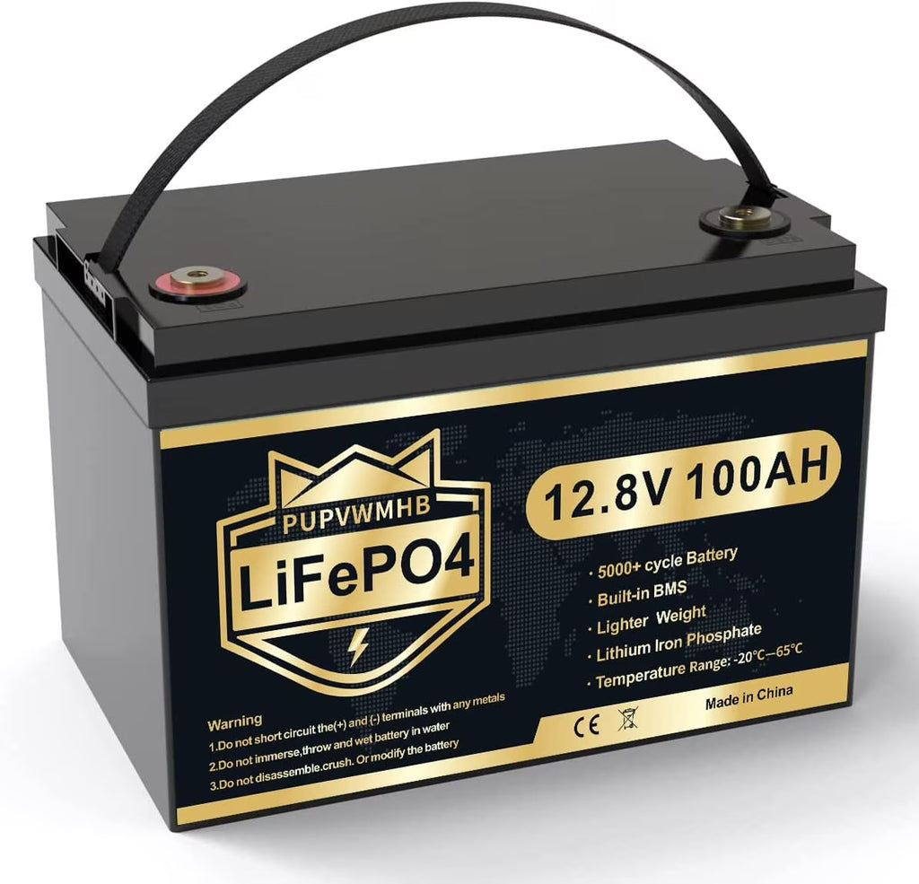 LiFePO4 Battery 12V 100Ah Lithium Iron Phosphate Battery with Built-in BMS F2305