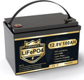LiFePO4 Battery 12V 100Ah Lithium Iron Phosphate Battery with Built-in BMS F2305