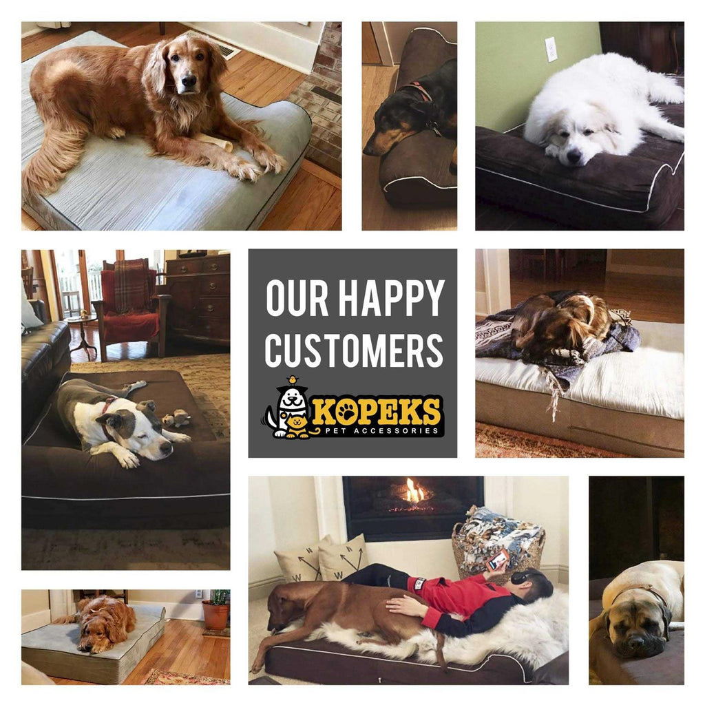 Dog Bed with Pillow Memory Foam K404205