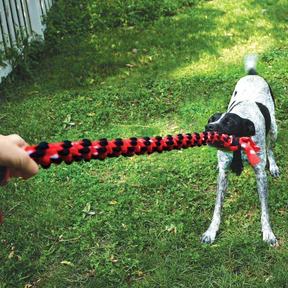 Double Tug Rope Dog Toy Q5399