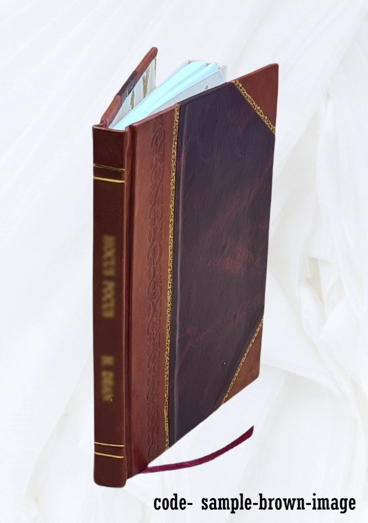 Hissar District Land Revenue Settlement 1875 Leather Bound X10999