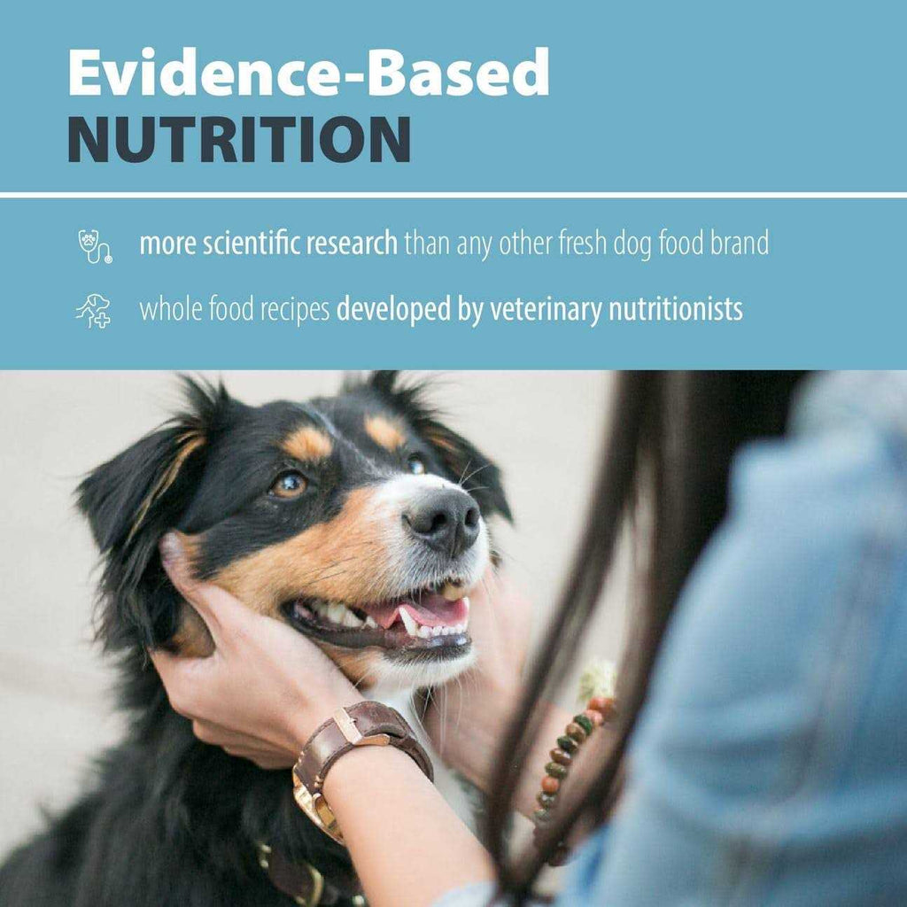 Frozen Dog Food E3022