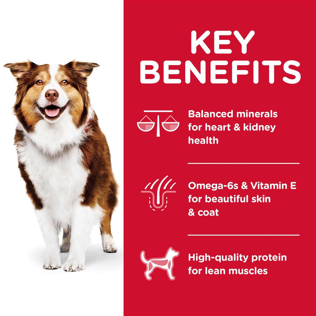 Chicken Adult 7+ Dog Food A8579