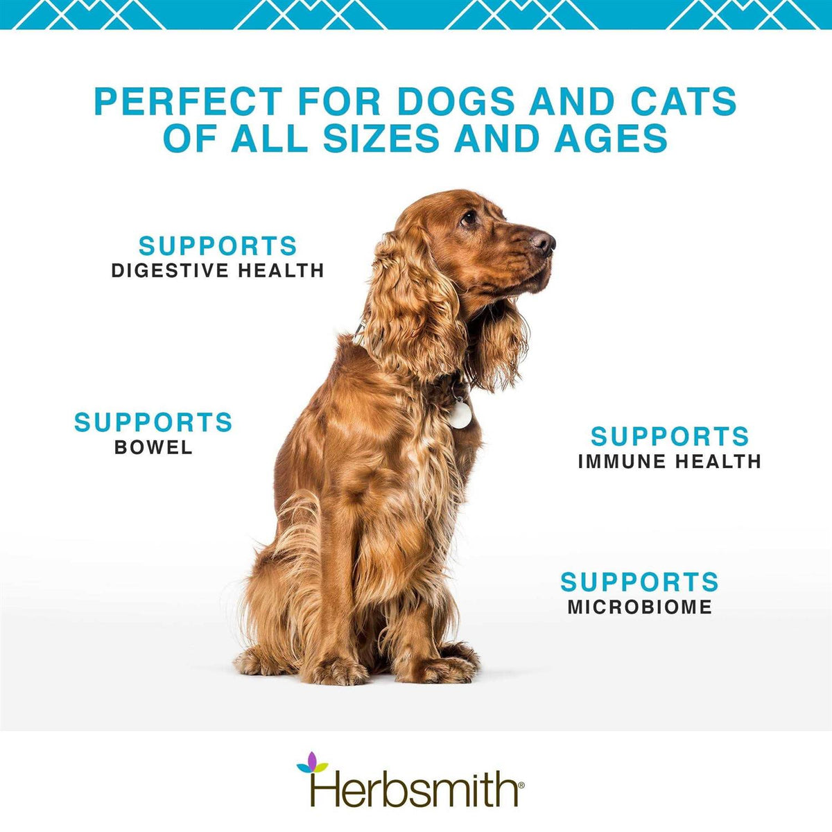 Microflora Plus for Digestion E225