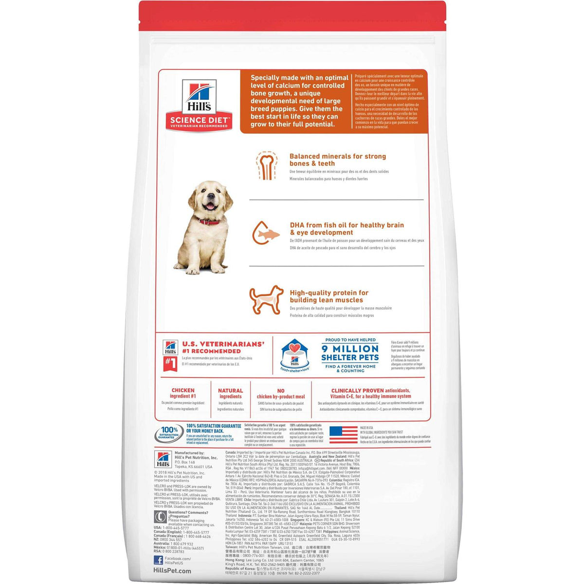 Large Breed Puppy Chicken Recipe Dry Dog Food E6019