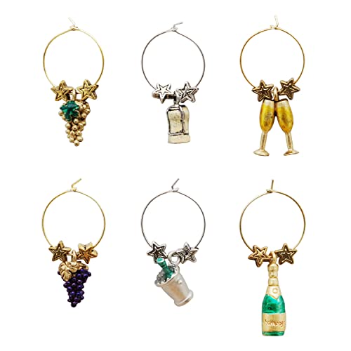Multicolor Set of 6 Wine Charms F939