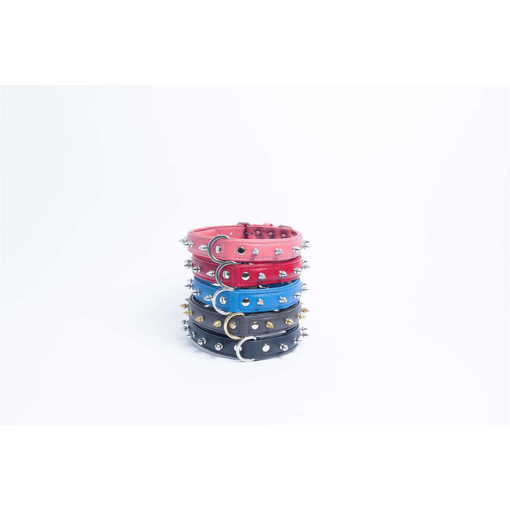 Dog Collar D441