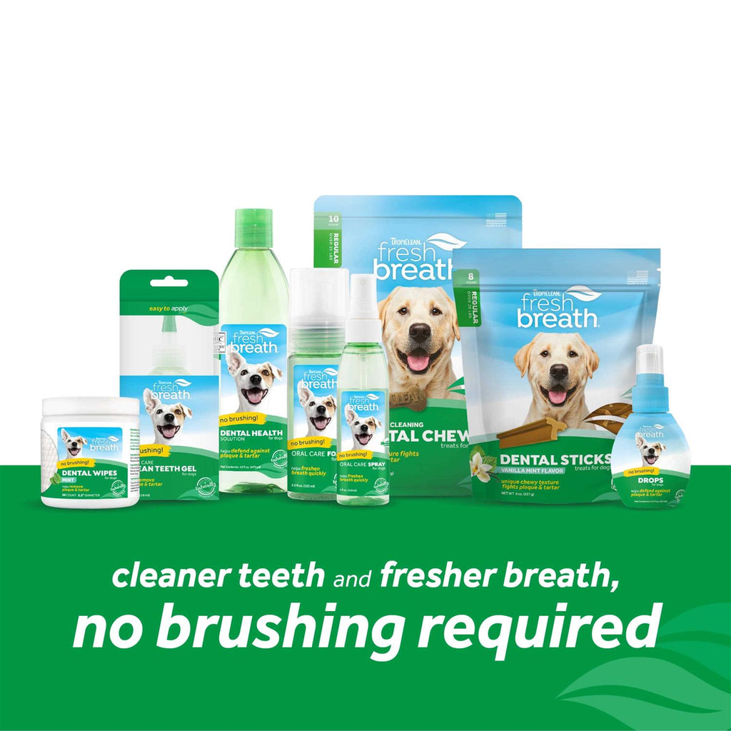 Fresh Breath Oral Care Spray B403