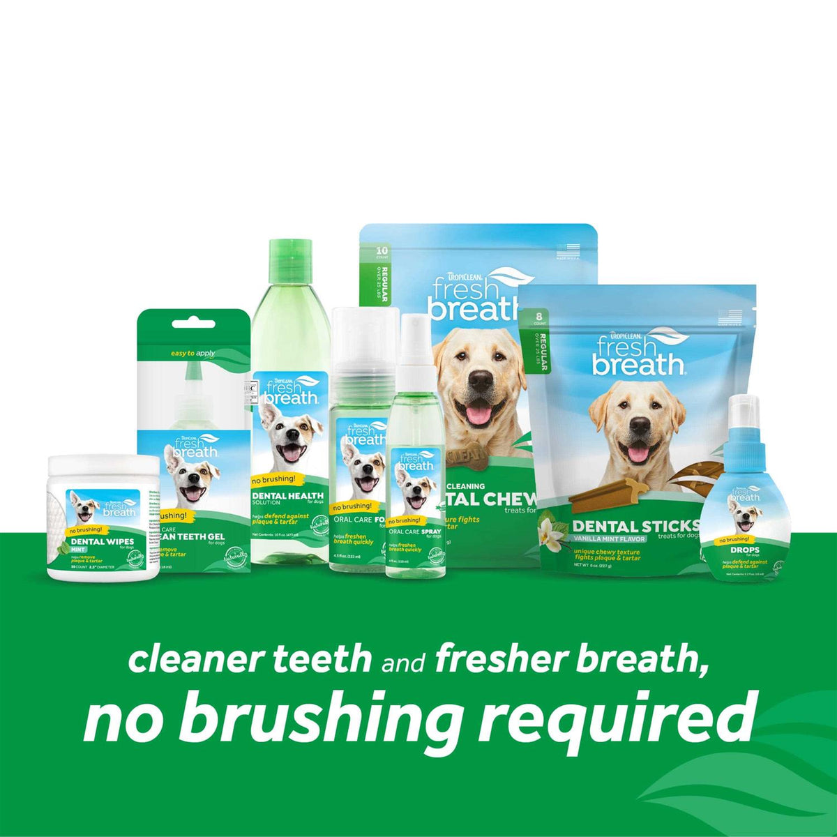 Fresh Breath Oral Care Spray B403