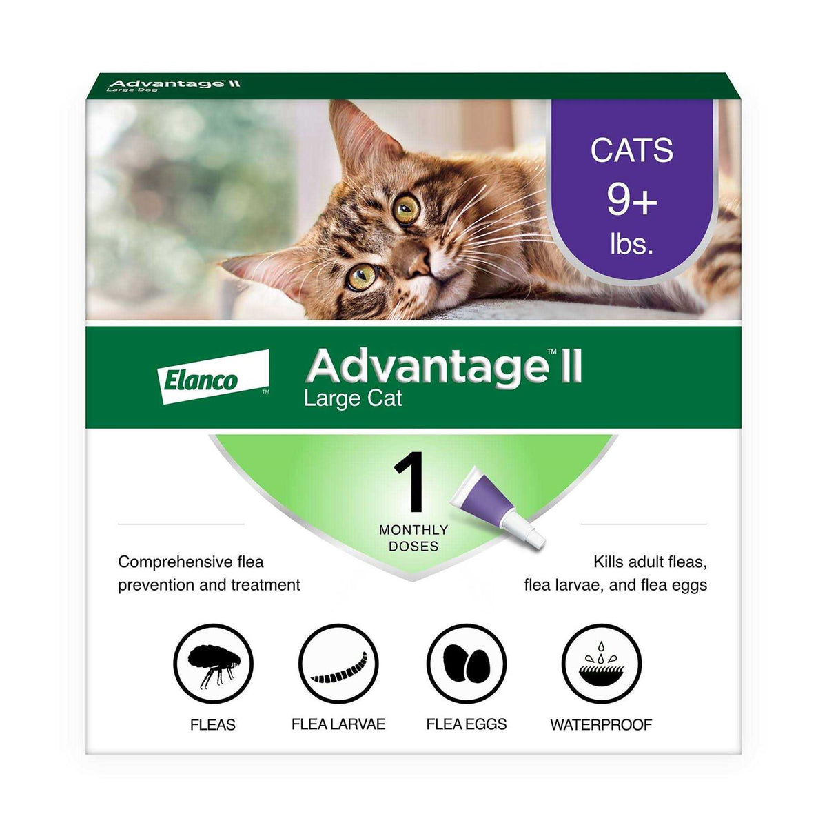 Flea Treatment Cats T73120