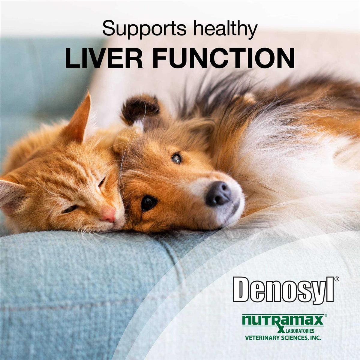 Liver and Brain Health Supplement for Small Dogs & Cats D10125