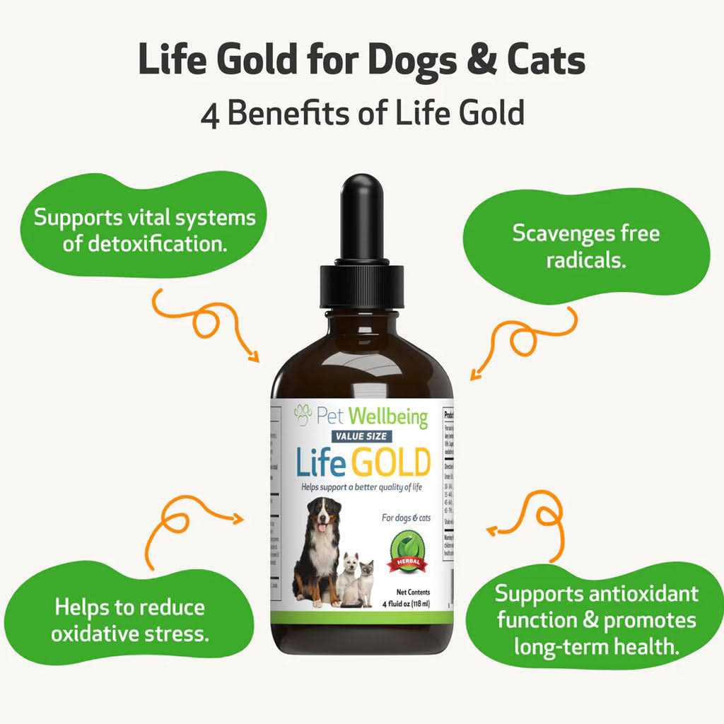 Life Gold for Dogs V3573