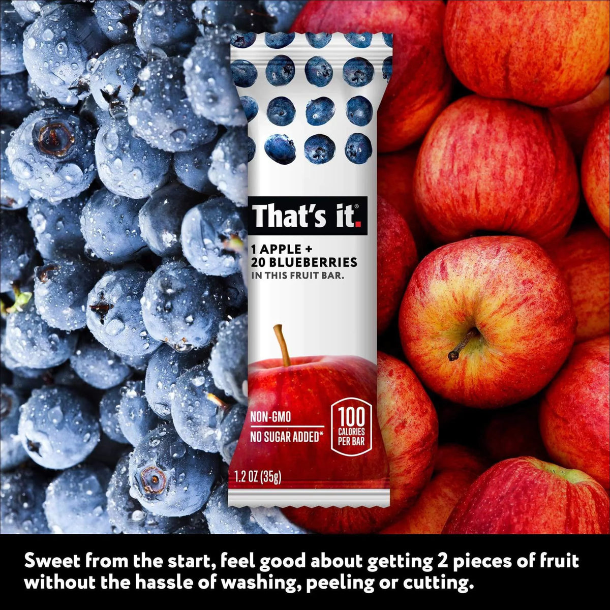 Apple Blueberry 100% Natural Fruit Bar 12 Pack D856