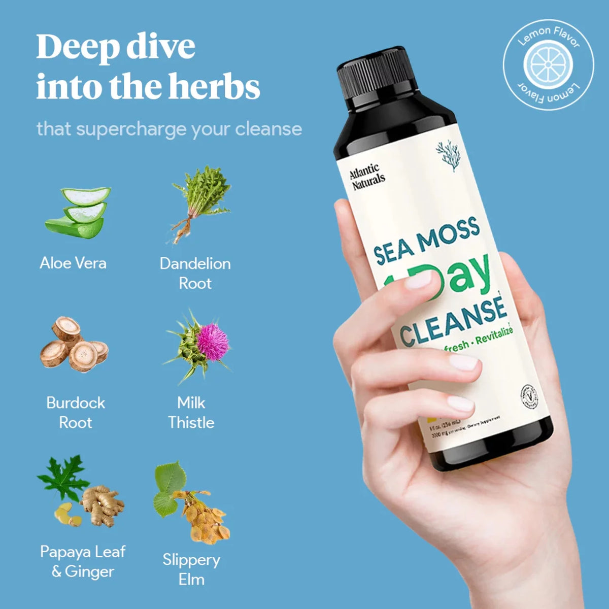 Sea Moss 1 Day Cleanse Lemon Flavor Y2402