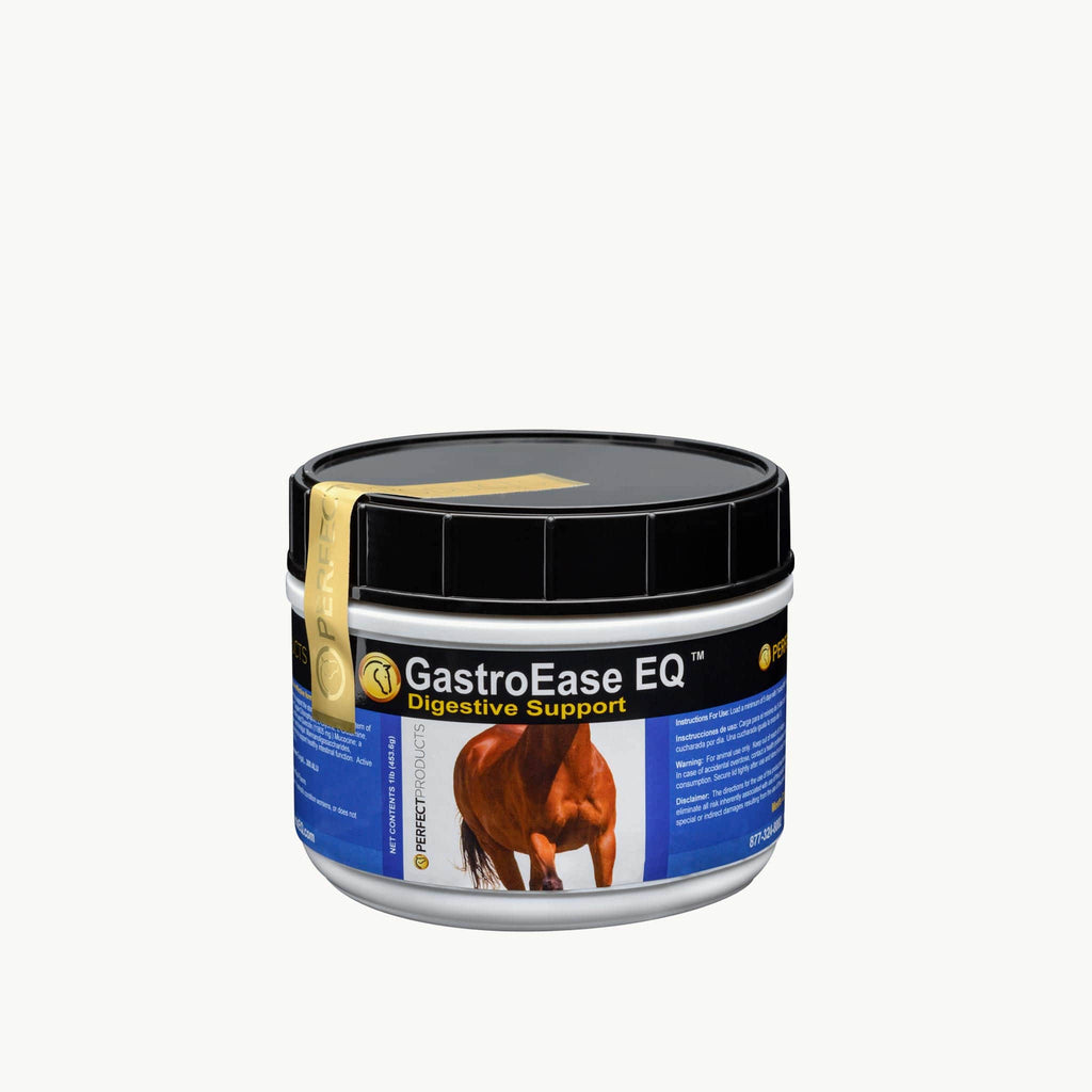 GastroEase 5 Pound T9875