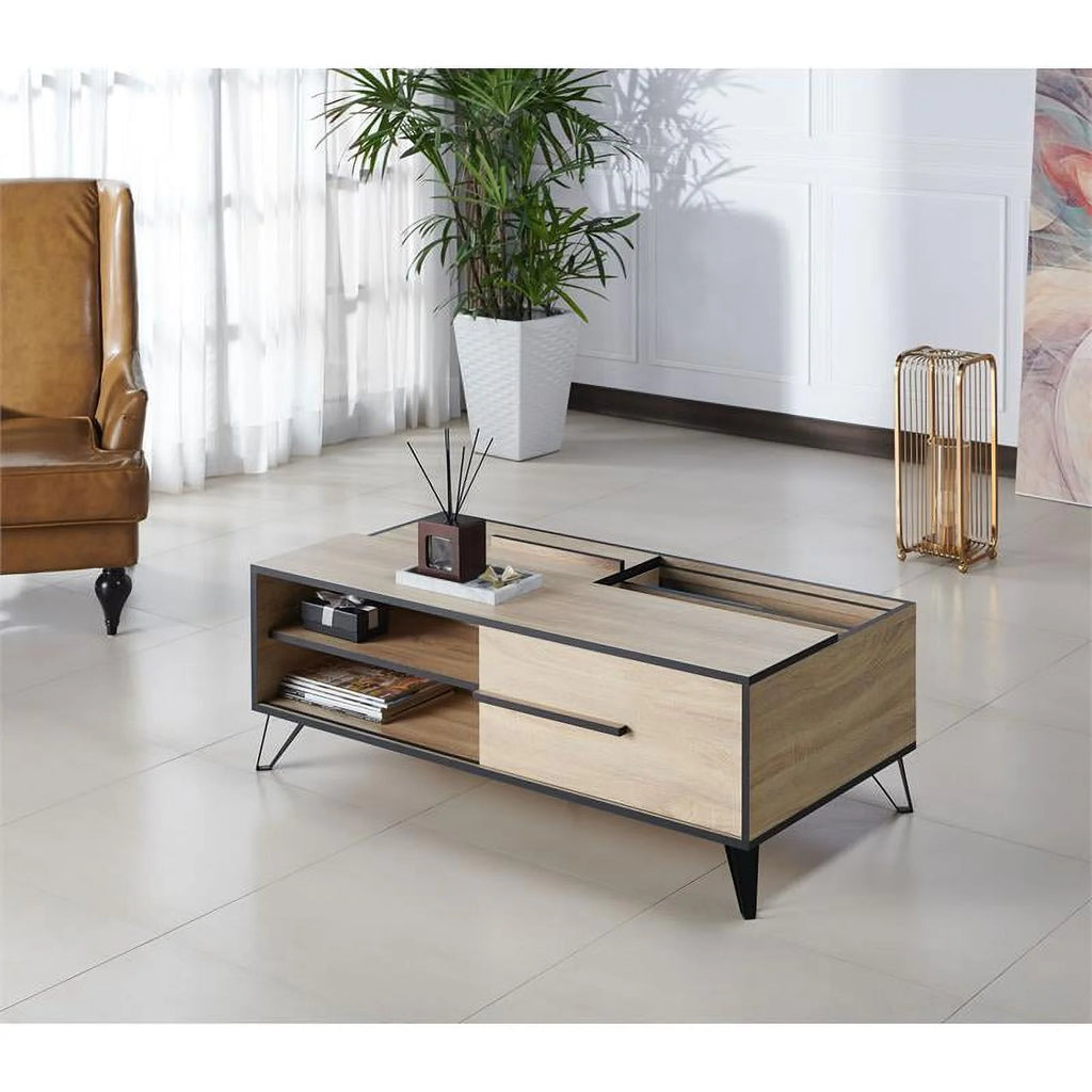 Modern Wood Storage Coffee Table L7539