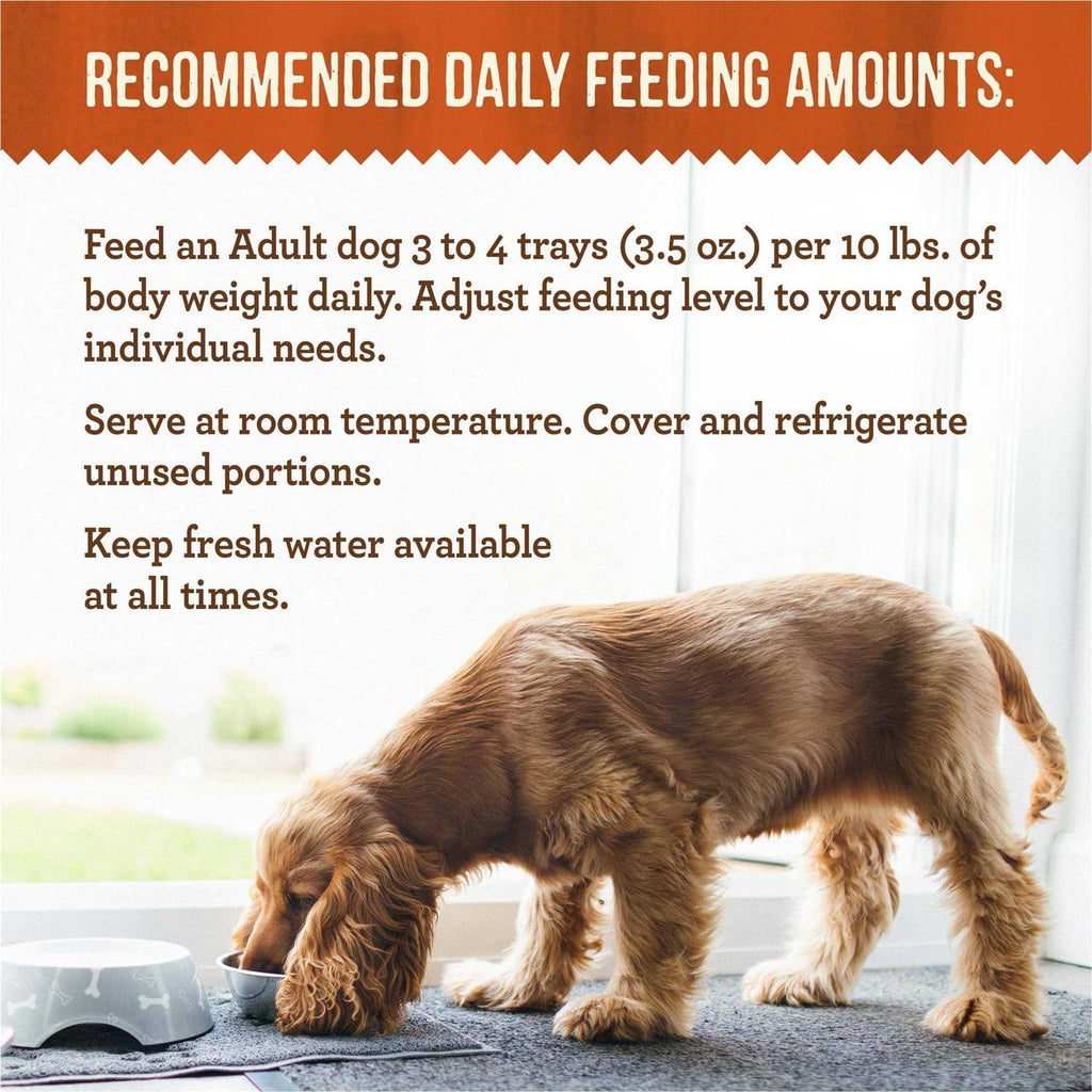 Wet Dog Food Variety Pack Y758