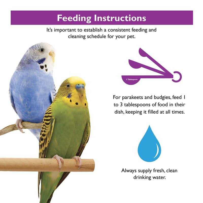 Parakeet Food I57535
