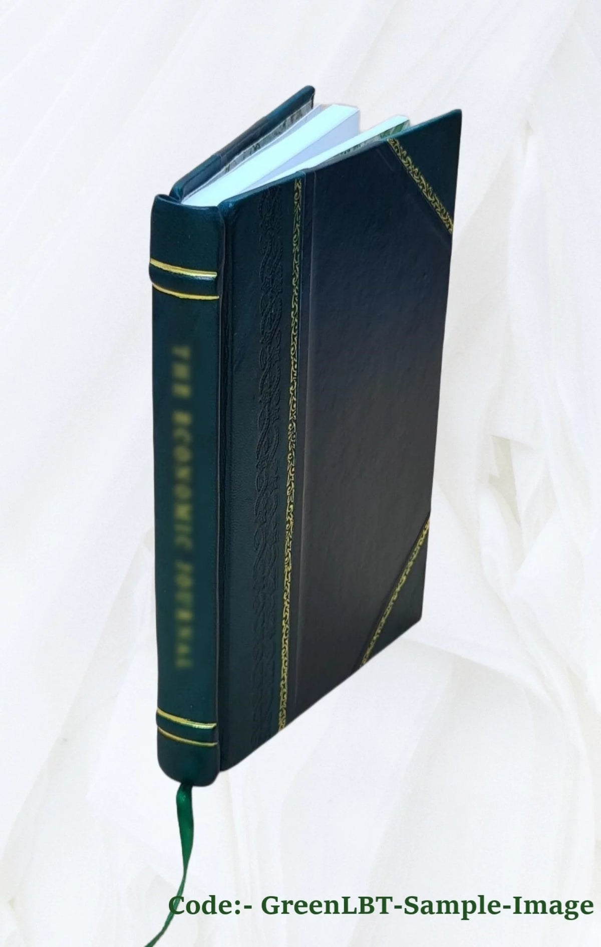 Hissar District Land Revenue Settlement 1875 Leather Bound X10999