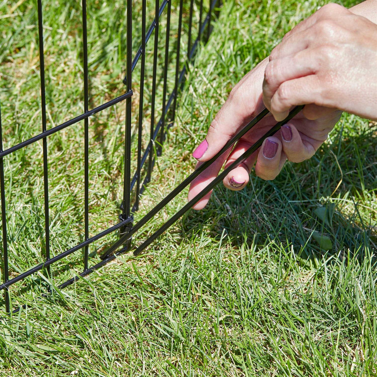 Exercise Pen Y4443