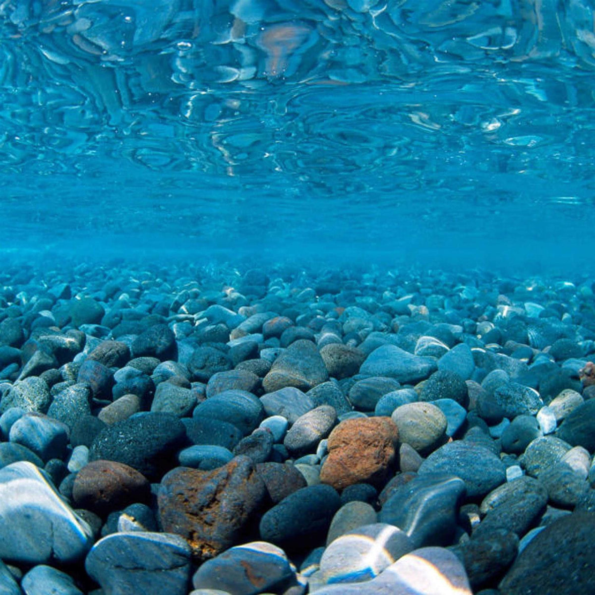 River Rock & Green Aquarium Background Decor F659