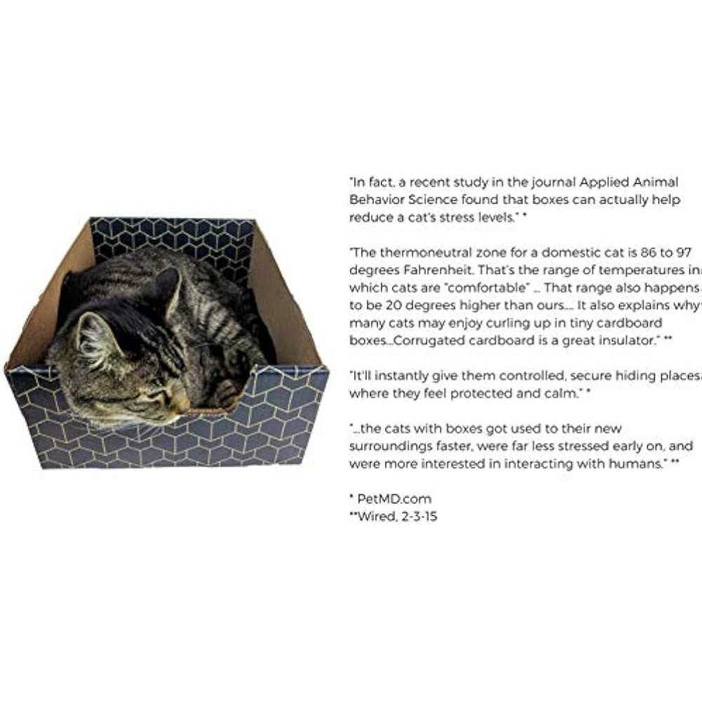 Blue Cat Box N46380