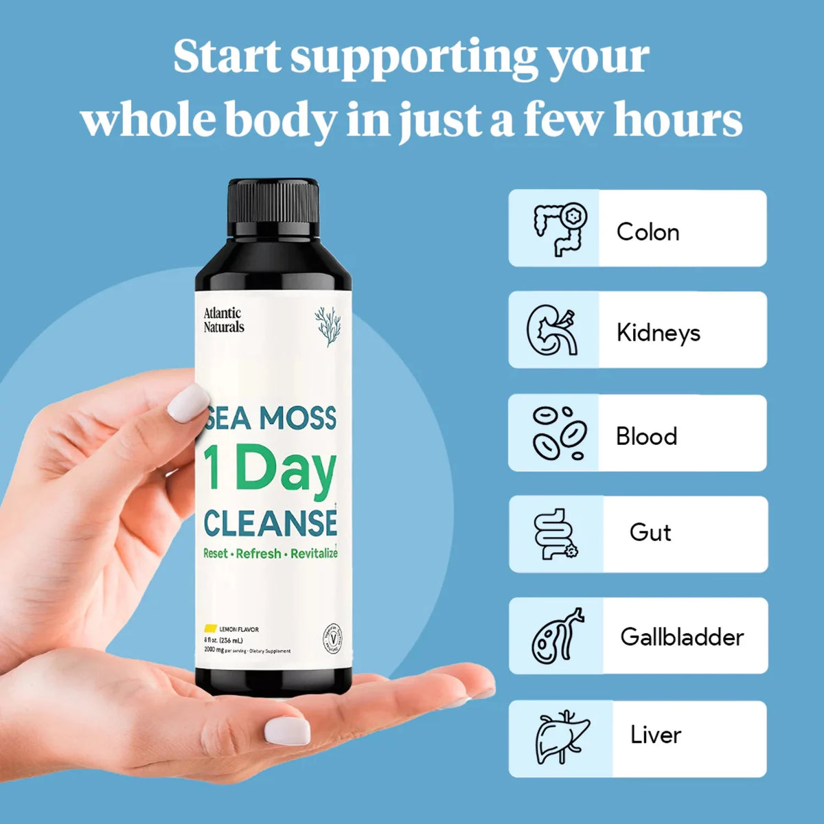Sea Moss 1 Day Cleanse Lemon Flavor Y2402