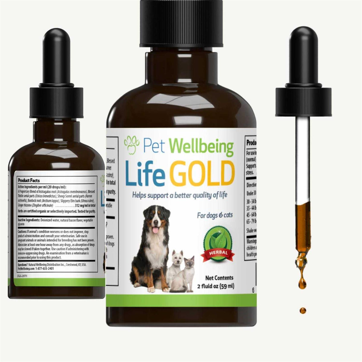 Life Gold for Dogs V3573