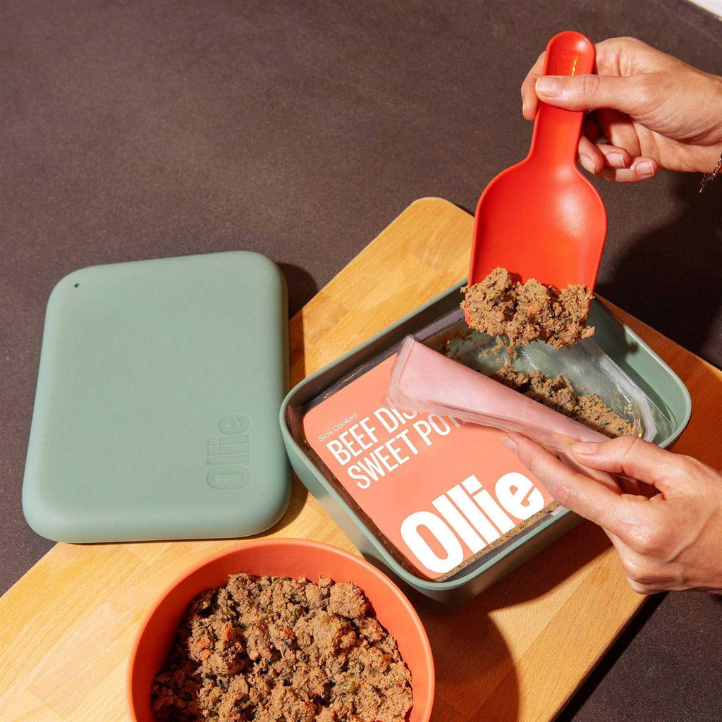 Dog Food Storage Container W2452