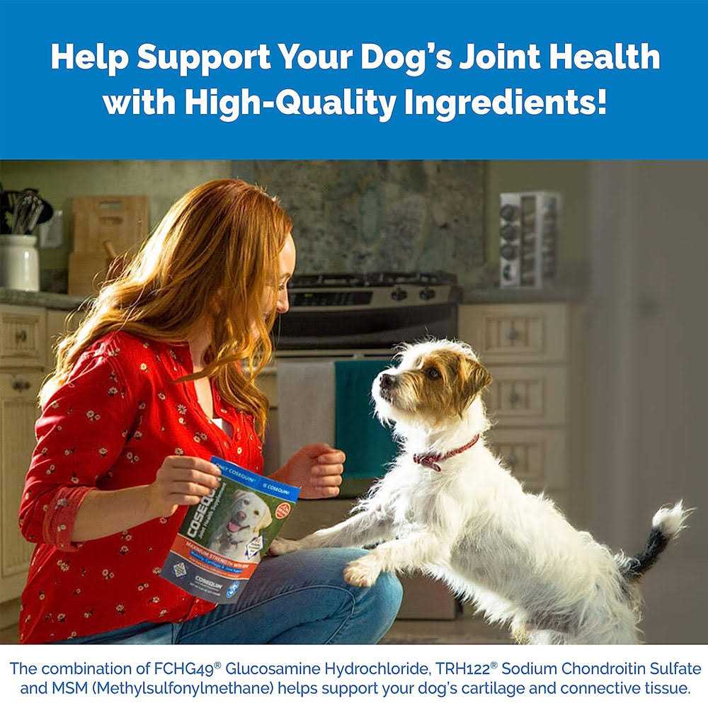 Joint Health Supplement for Senior Dogs W57199