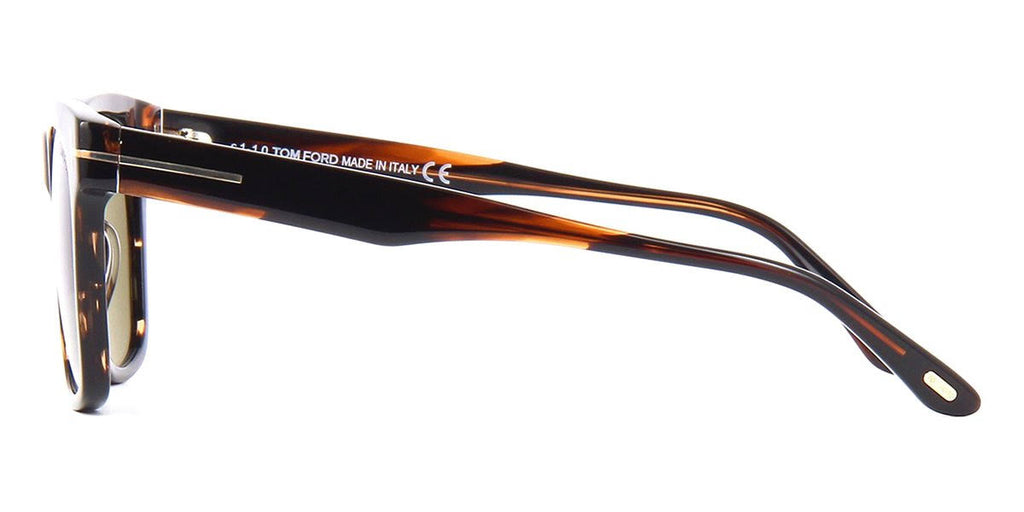 Havana/Other Eyeglasses A460